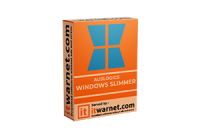 Auslogics Windows Slimmer Professional 4.0